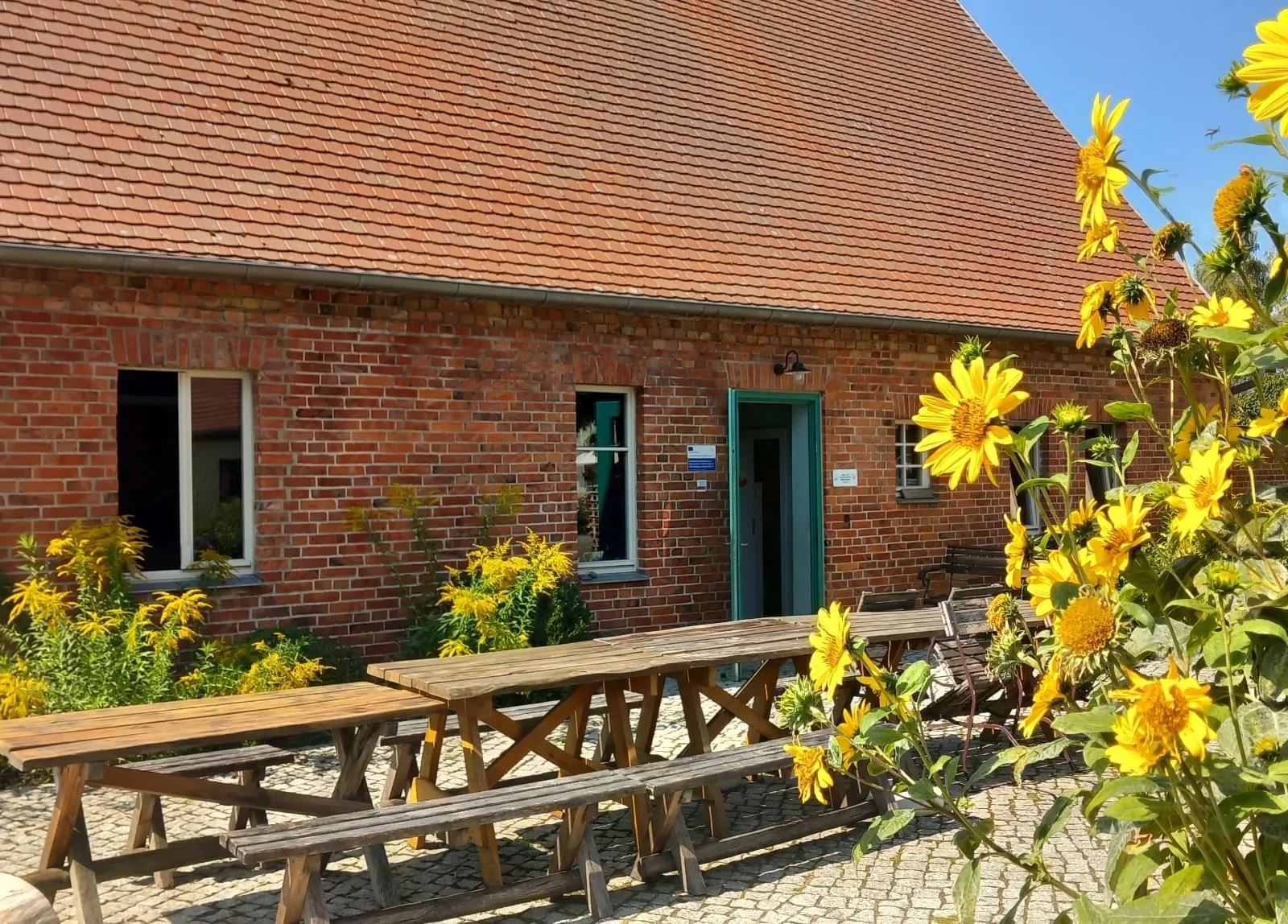 Backsteingebäude mit grüner Tür, Holzbänken und blühenden Sonnenblumen davor