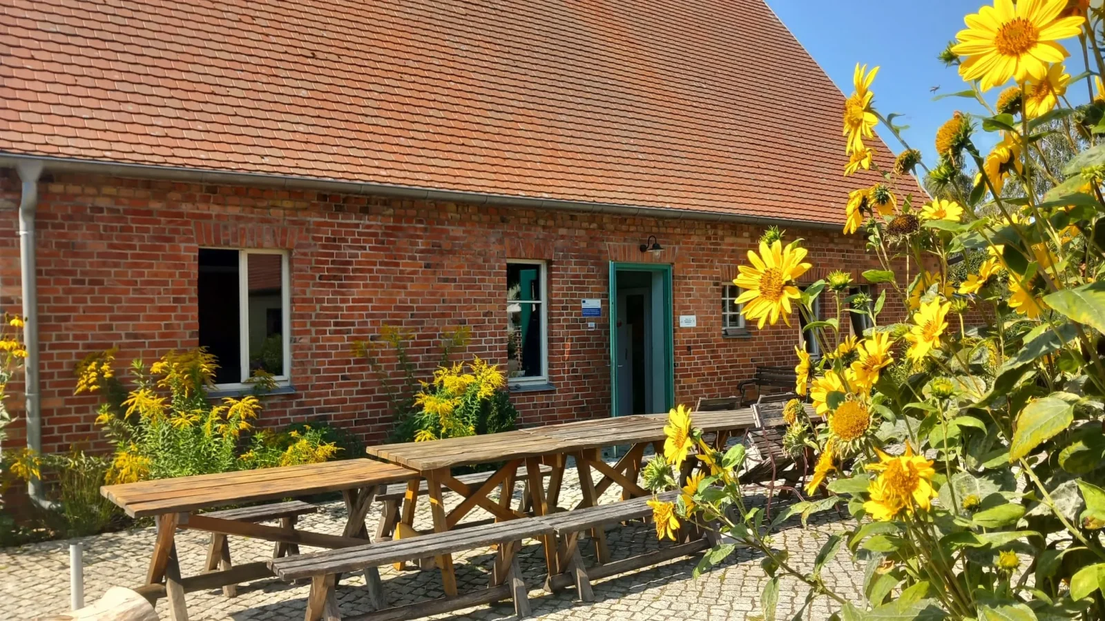 Backsteinhaus mit grüner Tür, davor Holzbänke und blühende Sonnenblumen